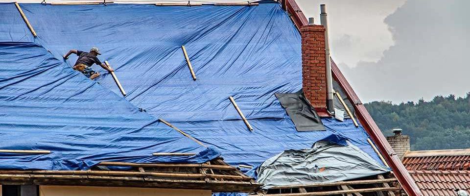 FEMA 1 960x447